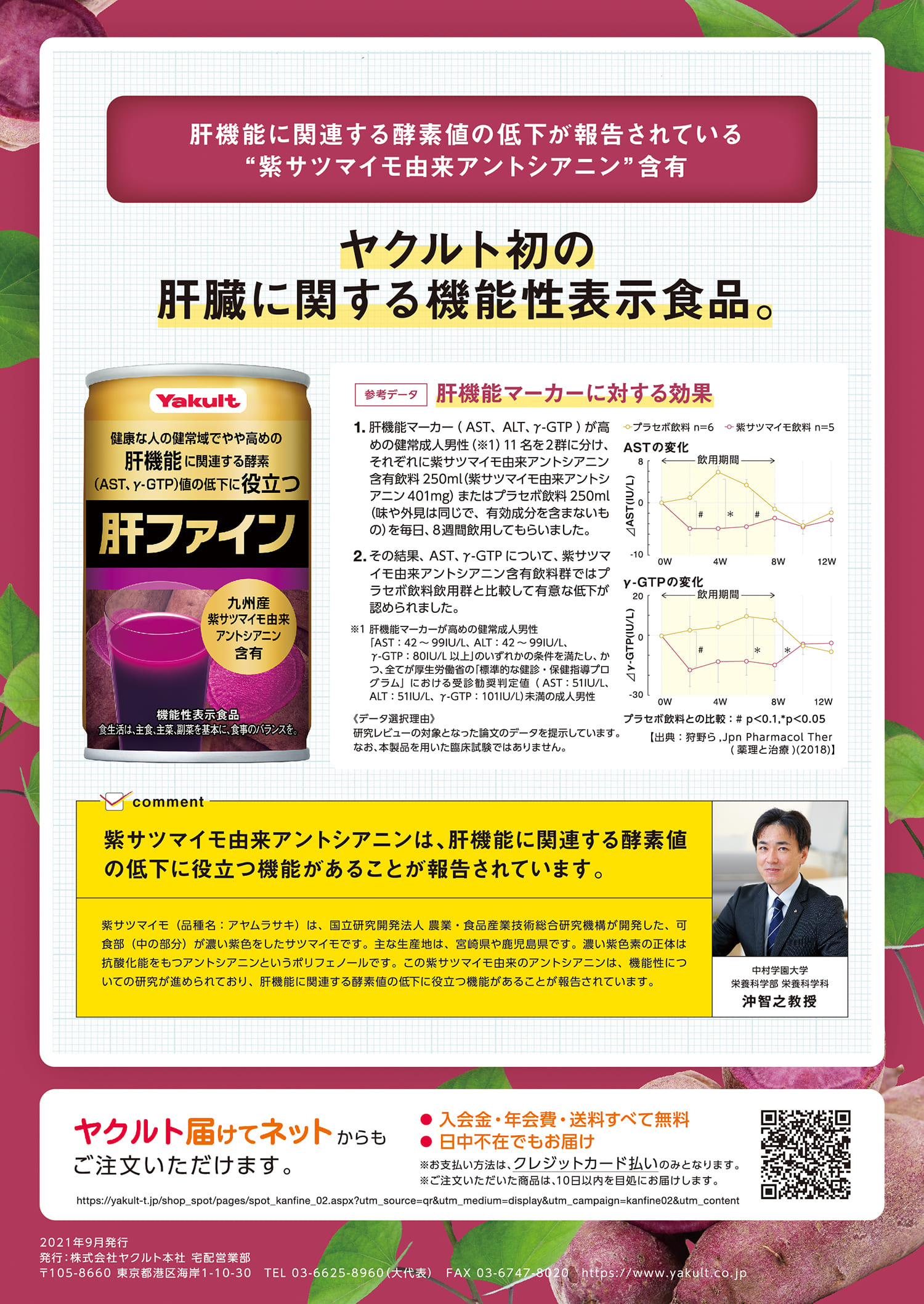 デザイン制作実績 肝ファインB5チラシ（裏面）